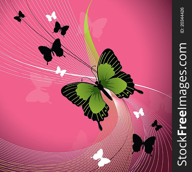 Green butterfly against pink background. Green butterfly against pink background