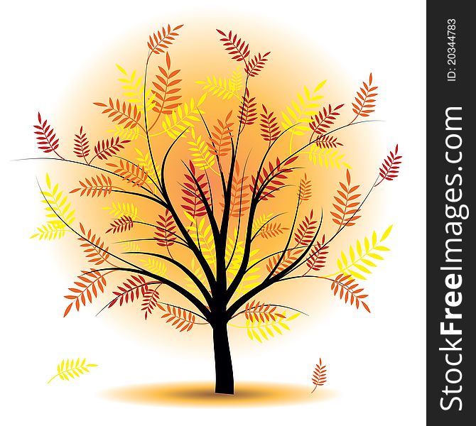 Beautiful autumn tree. Design element. Fall illustration.