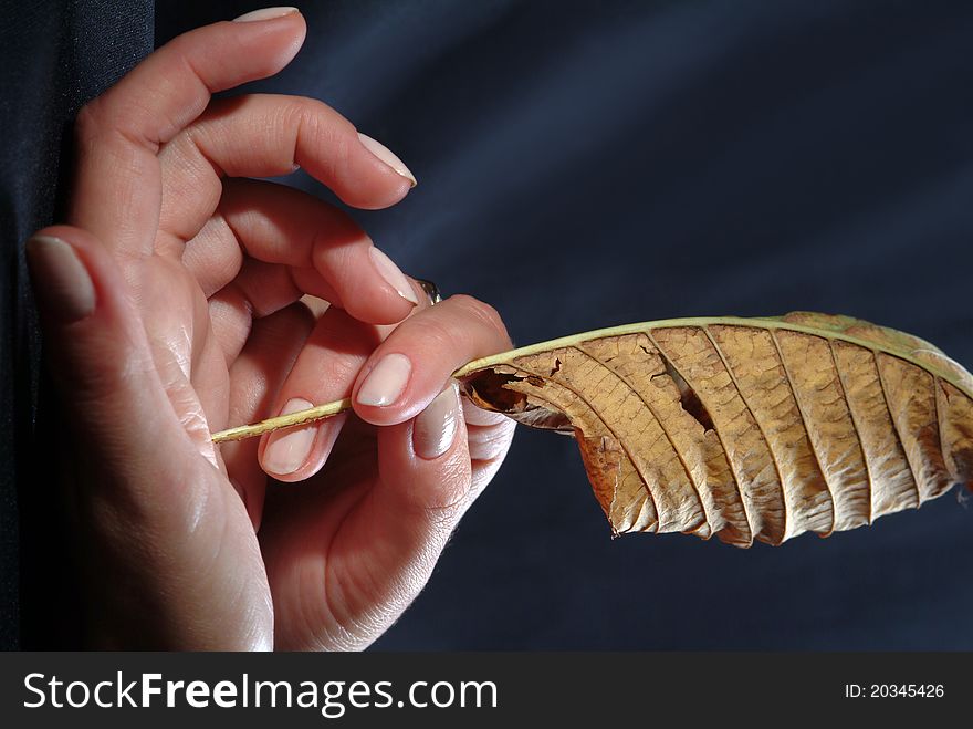 Woman's hand, which holds a sheet of wood. Ecology and people. Woman's hand, which holds a sheet of wood. Ecology and people