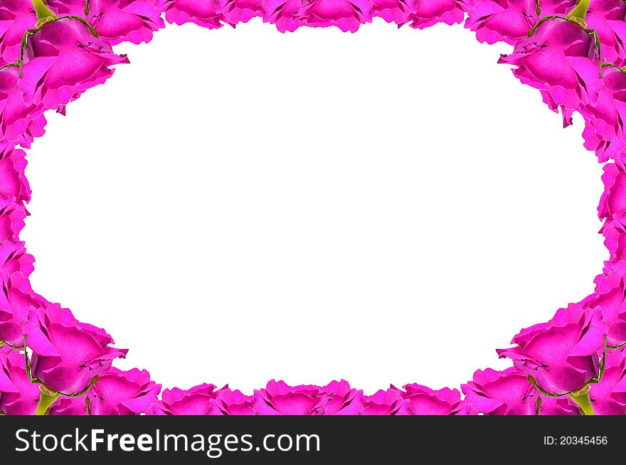 Rose Frame isolated on white