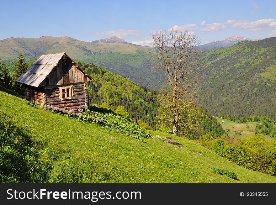 A small house on a hillside in a summer landscape.