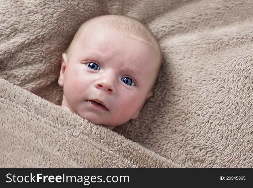Newborn boy under white sheet