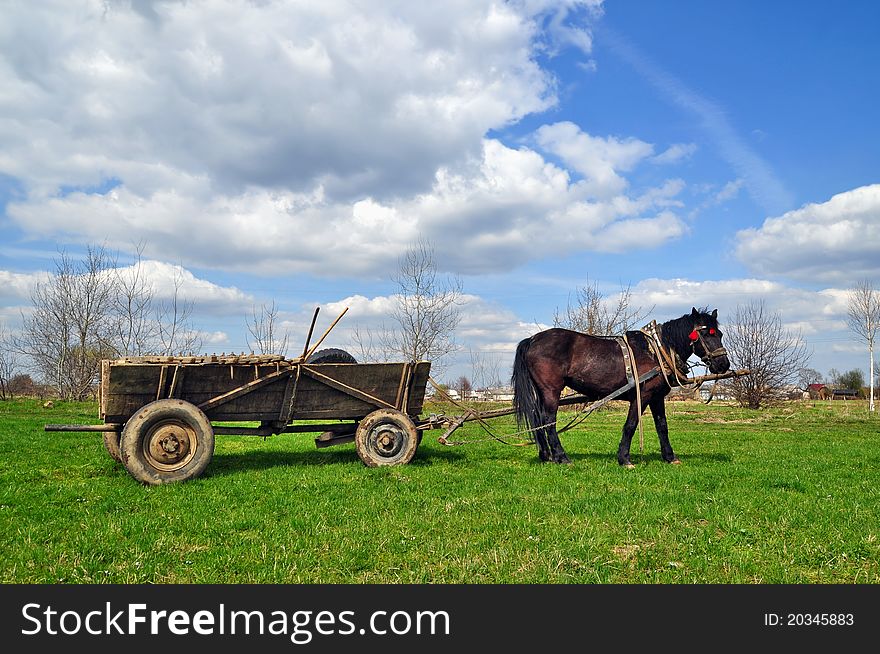 A horse with a cart in a rural landscape under clouds. A horse with a cart in a rural landscape under clouds