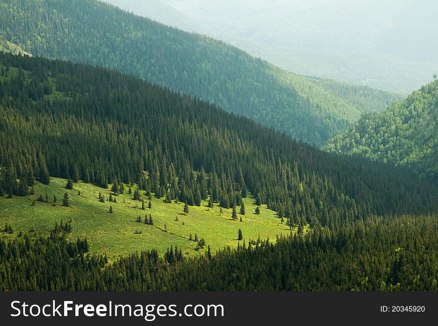 Carpathians mountain in summer time