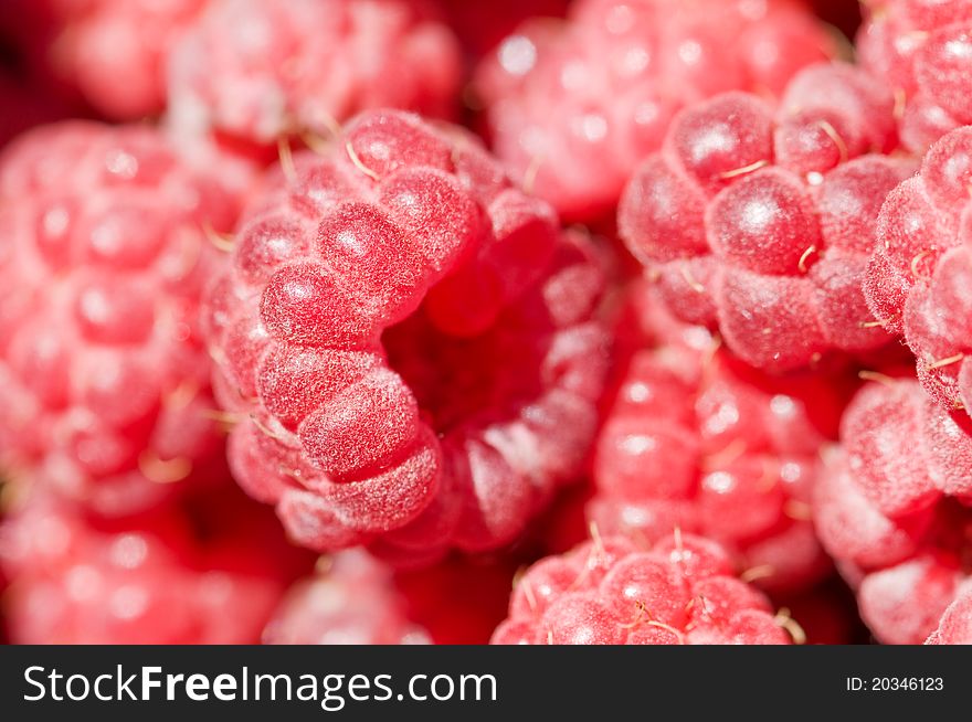 Sweet fresh raspberry close up