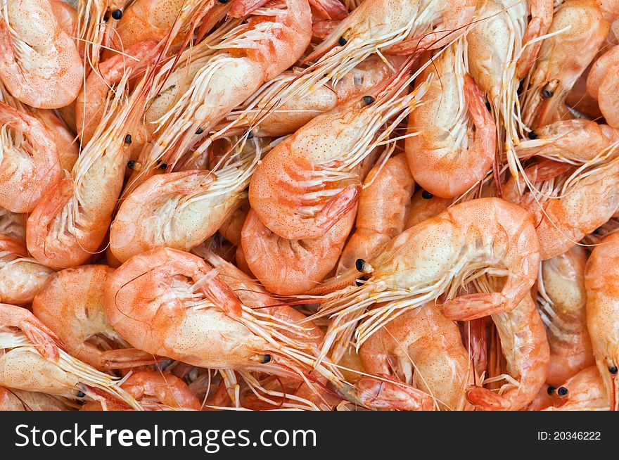 Small orange shrimps close up