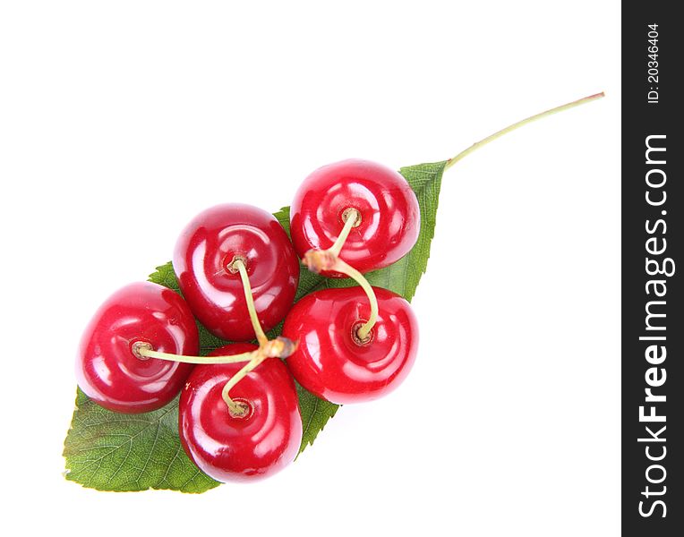 Cherry fruits on a mint leaf on white background