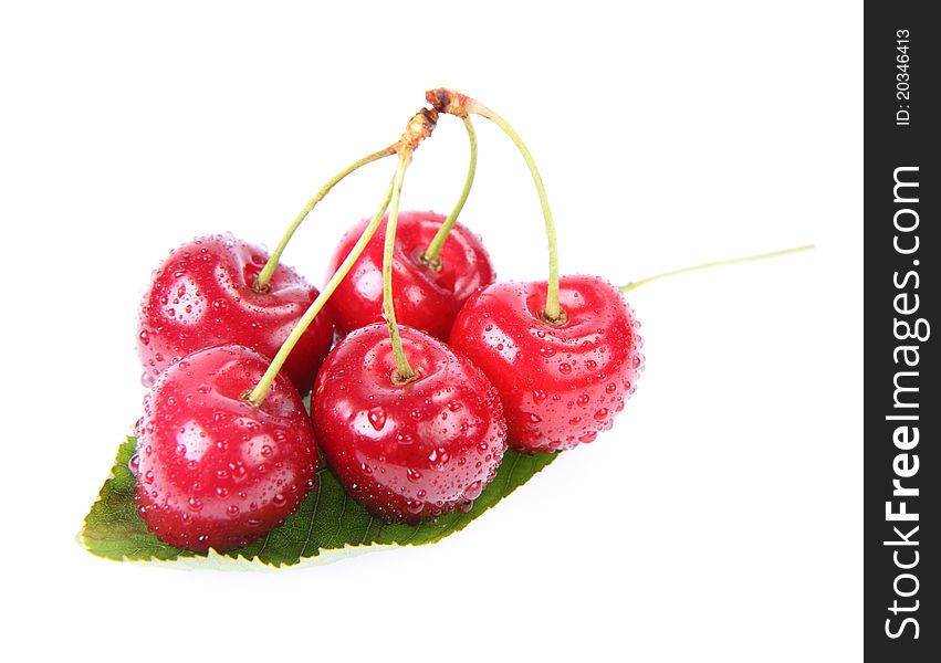 Cherry fruits on a mint leaf, covered with drops of water