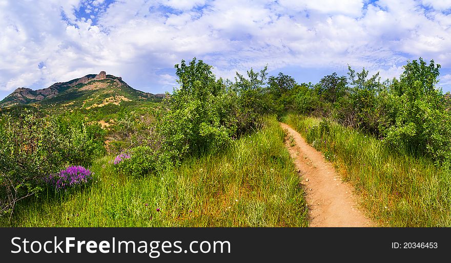 Beautiful summer landscape in the mountains