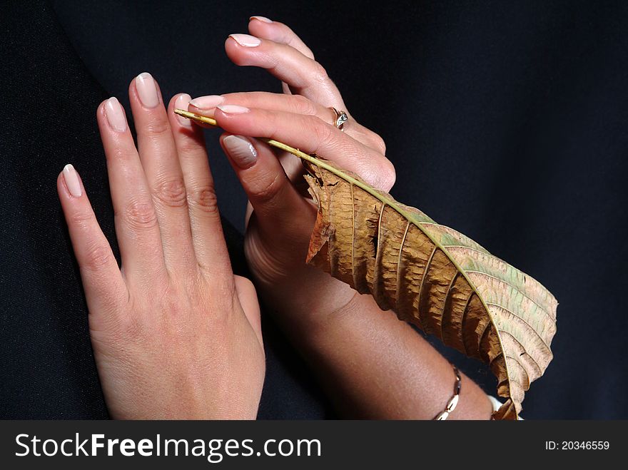 Woman s hand, which holds a sheet of wood