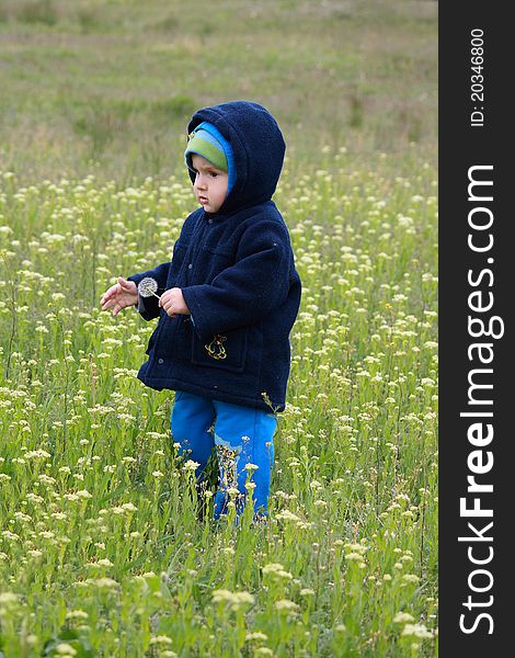 A child on flowery meadow.