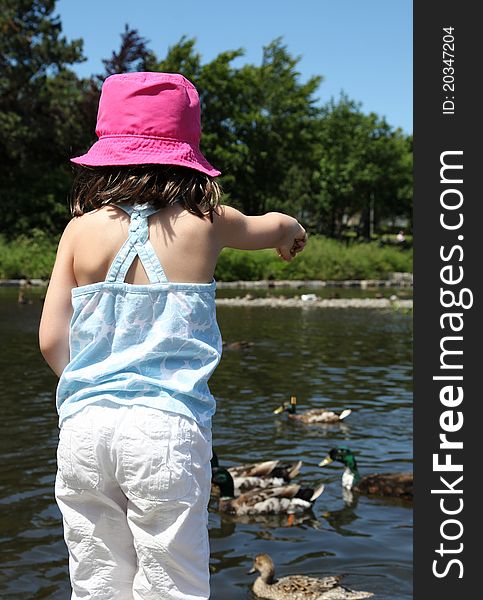 Sweet little girl feeding ducks in a pond