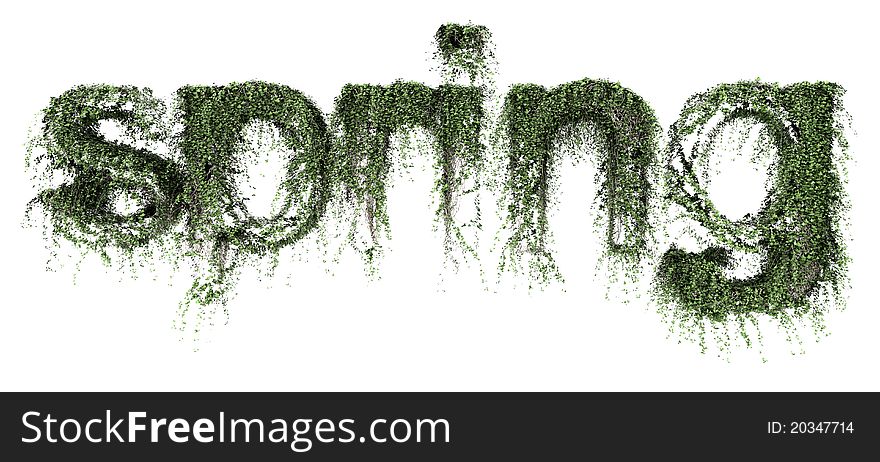 Render of spring text grown with ivy. Render of spring text grown with ivy