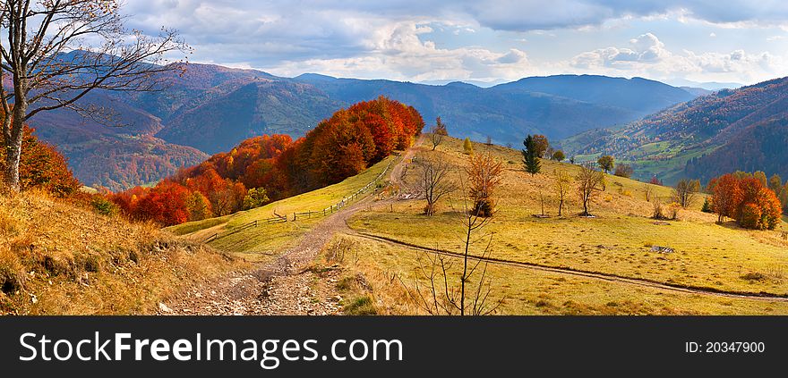 Colorful Autumn Landscape