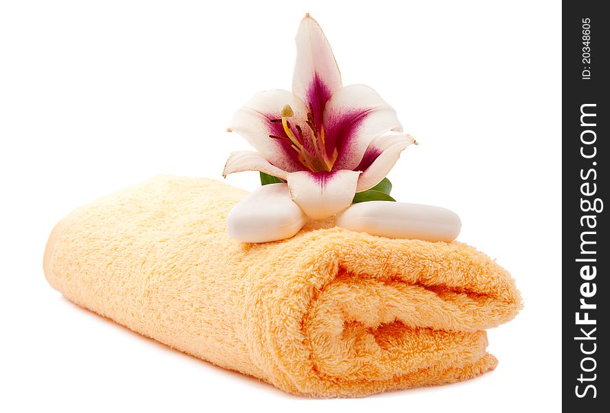 Lily and towel on a white background