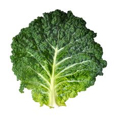 Savoy Cabbage Royalty Free Stock Photo Savoy Cabbage Royalty Free Stock Photo