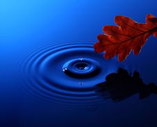 Drop Of Water Falling Into The Water Royalty Free Stock Photography Drop Of Water Falling Into The Water Royalty Free Stock Photography