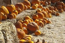 Pumpkins On Bales Royalty Free Stock Photo Pumpkins On Bales Royalty Free Stock Photo