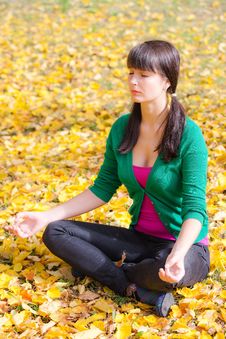 Young Girl With A Laptop In A Autumn Foliage Stock Image Young Girl With A Laptop In A Autumn Foliage Stock Image