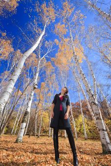 Active Young Girl Resting In A Birch Grove Stock Photos Active Young Girl Resting In A Birch Grove Stock Photos