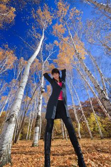 Active Young Girl Resting In A Birch Grove Stock Photos Active Young Girl Resting In A Birch Grove Stock Photos