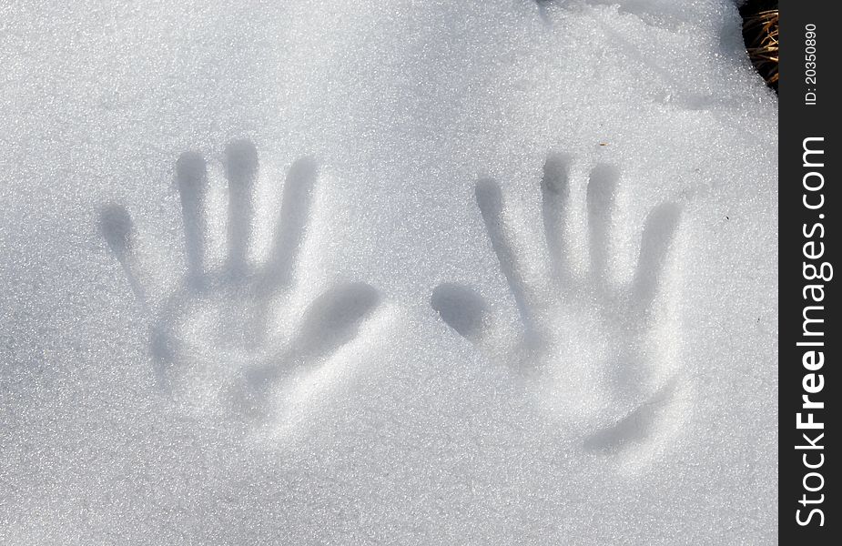 Print of two arms at snow surface closeup. Print of two arms at snow surface closeup