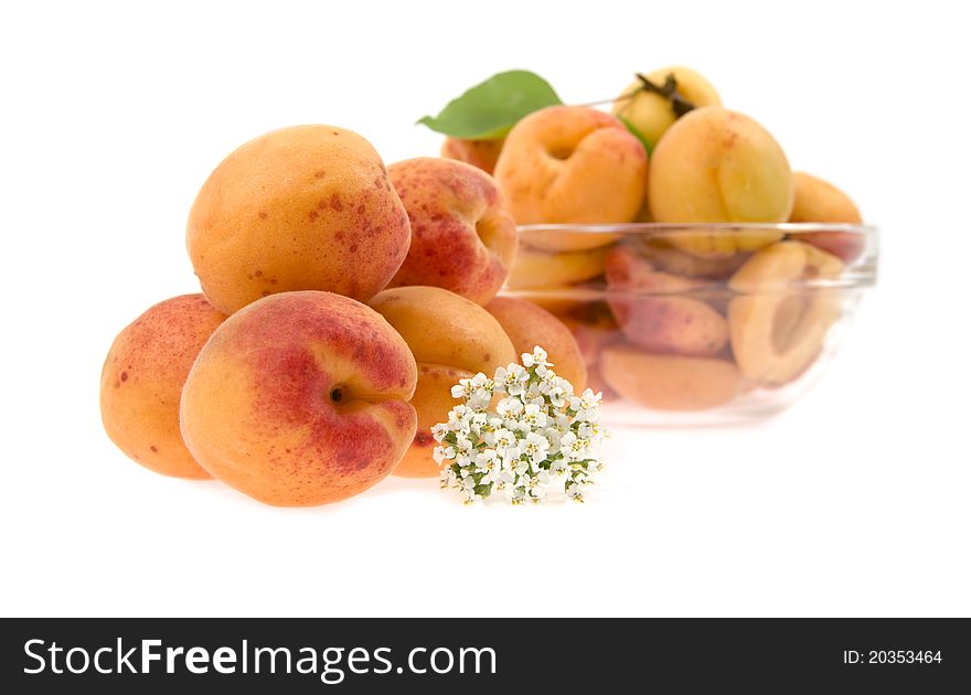 Apricots with a flower lie on a background a dish with a half apricot isolated. Apricots with a flower lie on a background a dish with a half apricot isolated