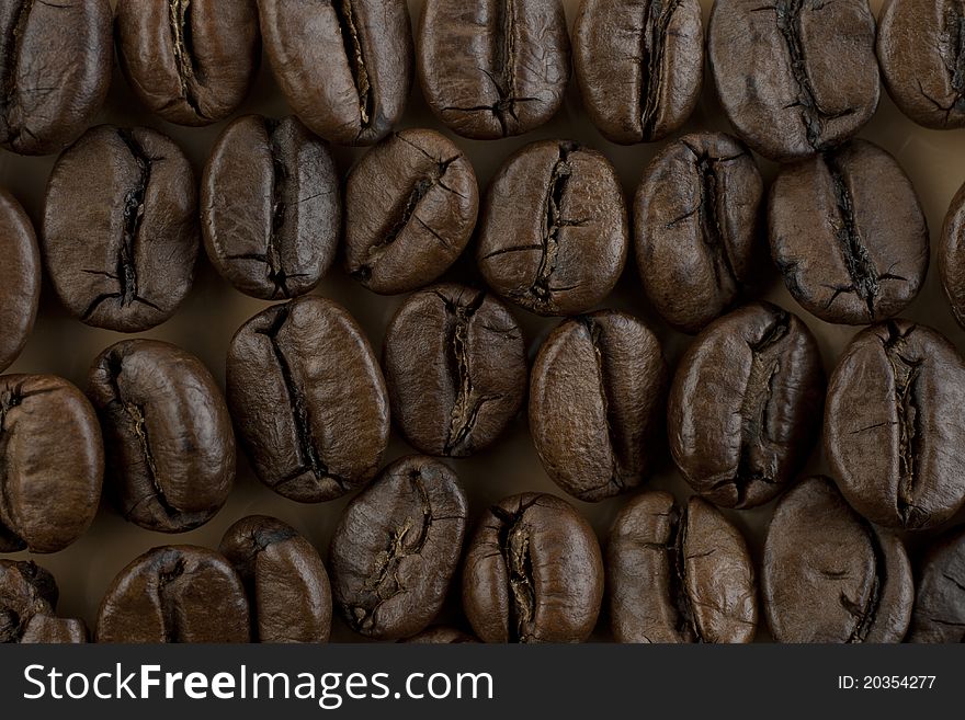 Coffee beans close-up photo