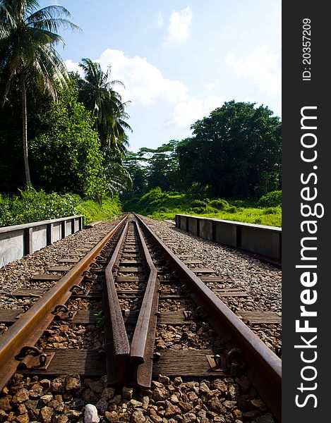 Railway Through a Forested Area