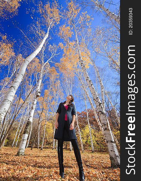 Autumn landscape. beautiful young girl rests in a birch grove. Autumn landscape. beautiful young girl rests in a birch grove