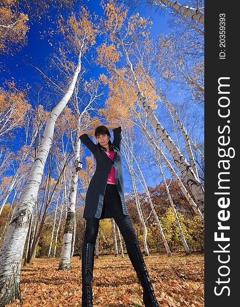 Autumn landscape. beautiful young girl rests in a birch grove. Autumn landscape. beautiful young girl rests in a birch grove