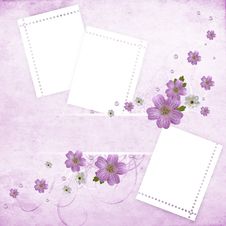 Beautiful Pink Floral Greeting Card Royalty Free Stock Photography