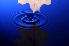 Drop Of Water Falling Into The Water Stock Images Drop Of Water Falling Into The Water Stock Images