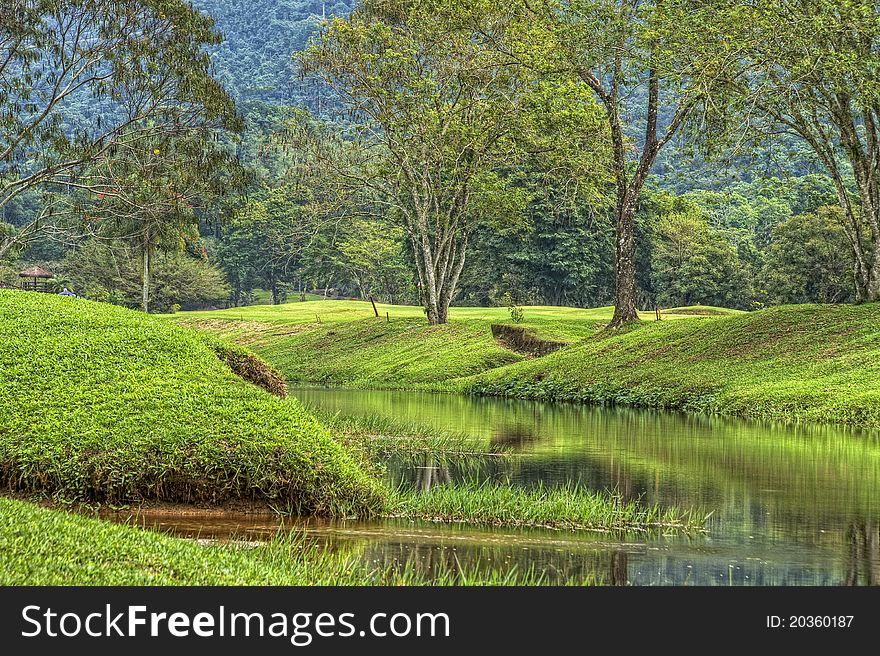 Green Meadow with Lake in Spring