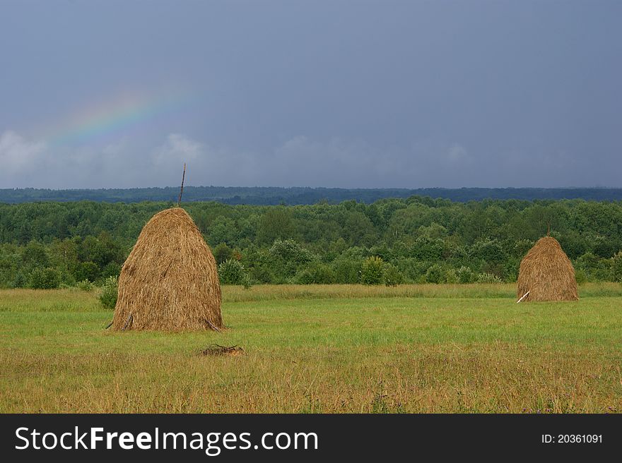 Hay, Vologda Region, Russia