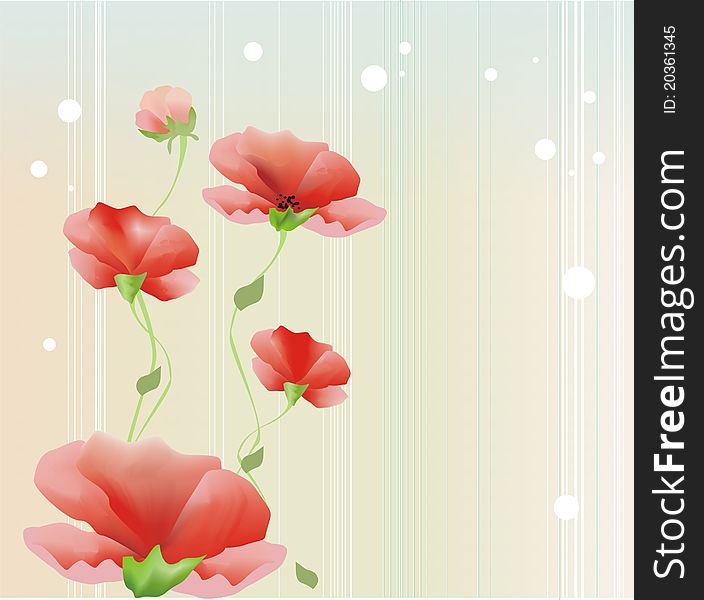 The red flowers, poppies on color background, best for card
