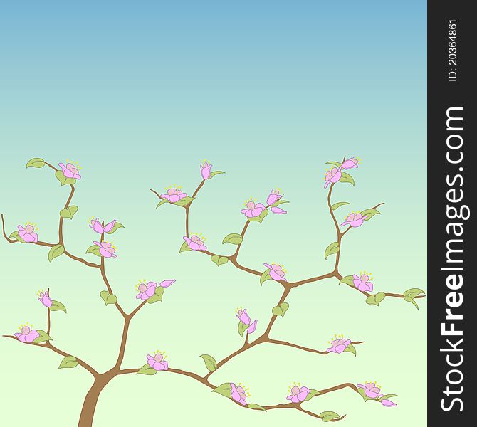 Vector spring tree with leaves and pink flowers. Vector spring tree with leaves and pink flowers.