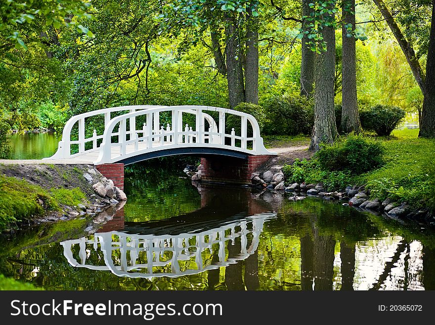 The Bridge in the park