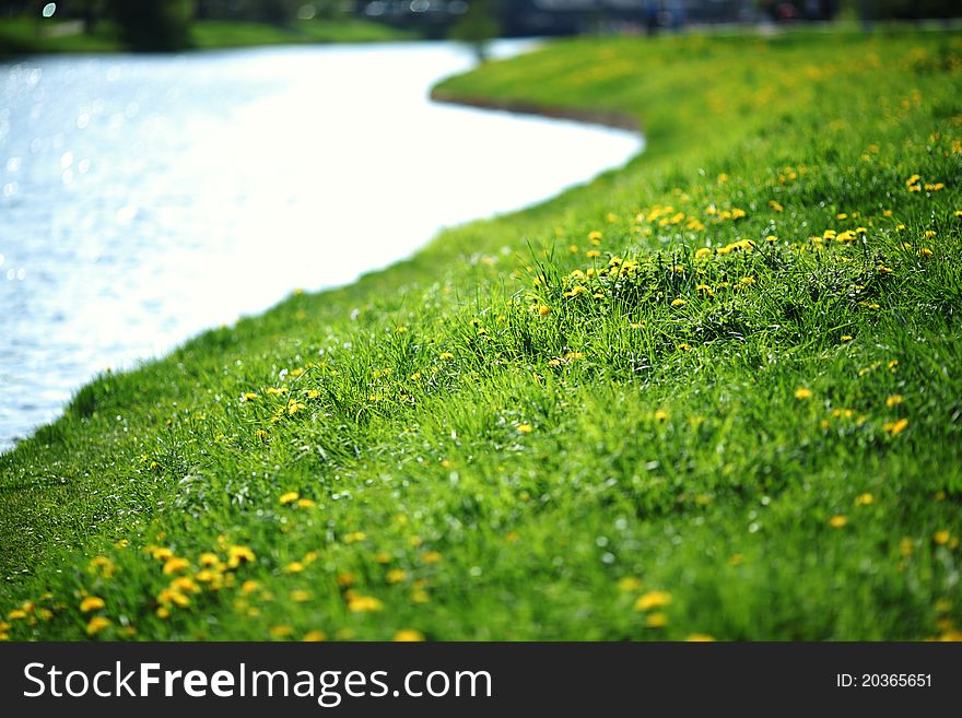 River with grass field full of yellow flowers