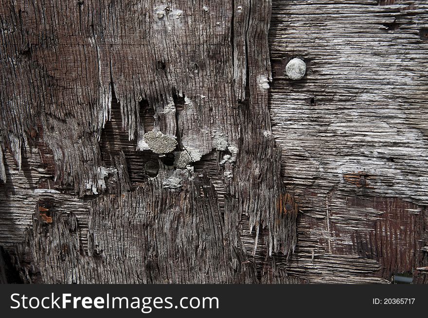 Dusty wood formed an abstract background. Dusty wood formed an abstract background