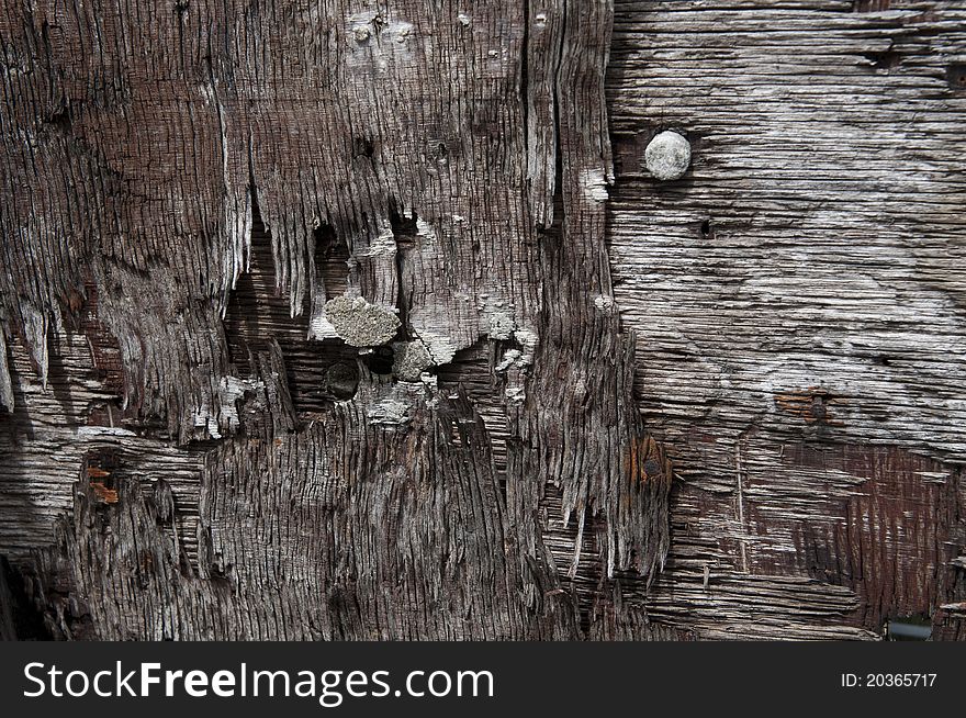 Abstract Wood Background