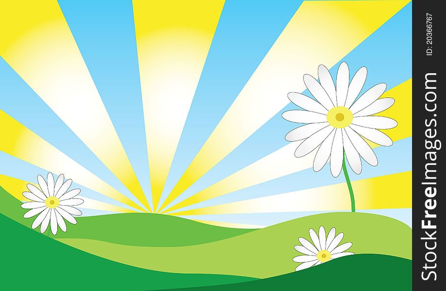 Vector of daisy background on sunshine day
