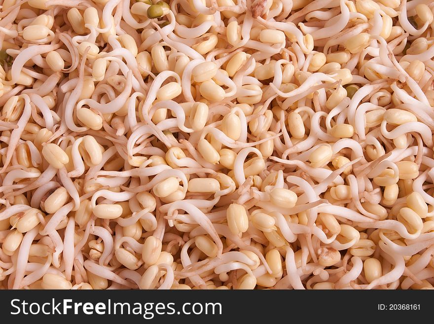 A bowl of white bean sprouts in a container on background
