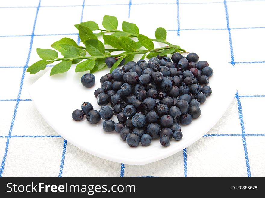 Blueberries and a sprig of green leaves on a white saucer on a checkered tablecloth. Blueberries and a sprig of green leaves on a white saucer on a checkered tablecloth