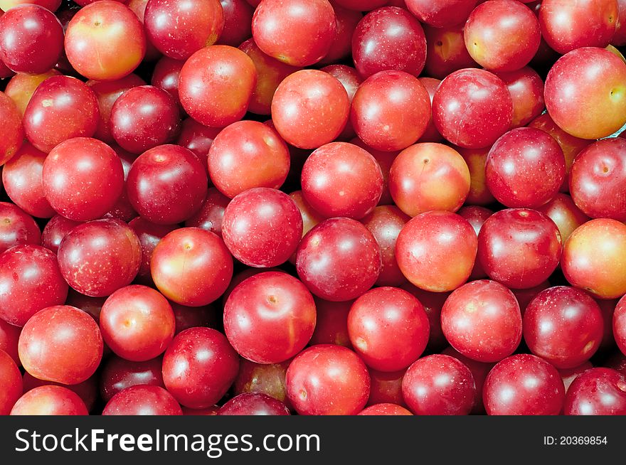 Layer Of Plums