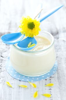 Fresh Vanilla Pudding Royalty Free Stock Image Fresh Vanilla Pudding Royalty Free Stock Image