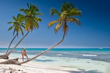 Tanned Woman Is Standin On Palm Before Blue Sea Stock Image Tanned Woman Is Standin On Palm Before Blue Sea Stock Image