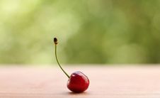 Cherry Royalty Free Stock Image Cherry Royalty Free Stock Image