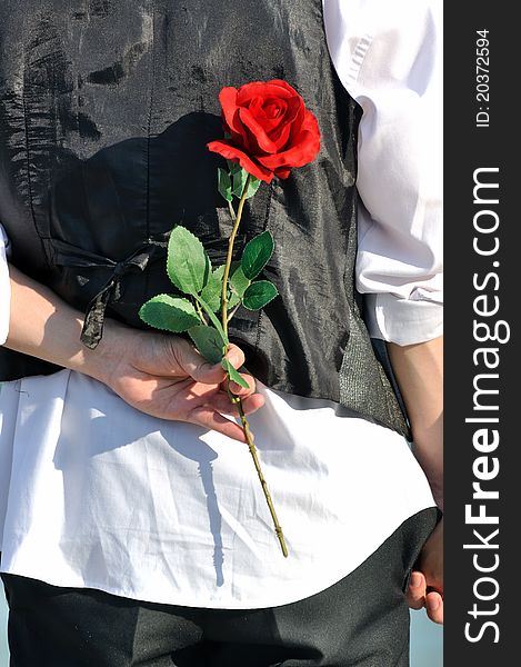 Back View Of Young Bridegroom And Flower