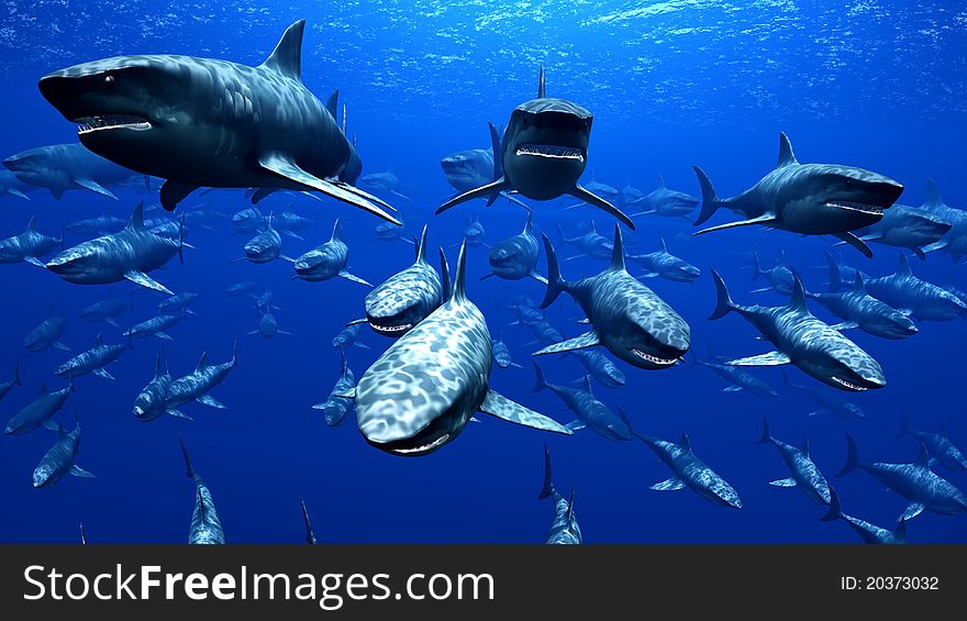 Flock of shark  in the sea